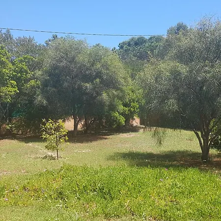 Vila Les Arbousiers *